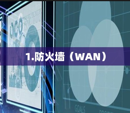1.防火墙（WAN）