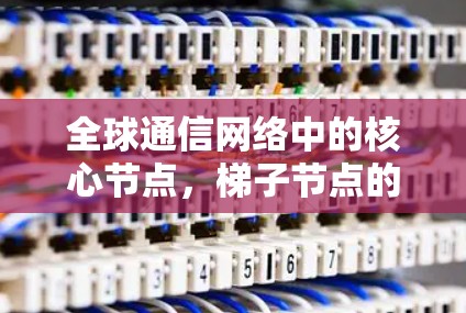 全球通信网络中的核心节点,梯子节点的未来 全球通信网络中的核心节点,梯子节点的未来