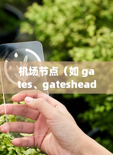 机场节点（如 gates、gateshead 和 gateways）是机场的重要设施，通常由专门的供应商提供。以下是关于机场节点购买的教程，帮助您理解购买流程、材料与服务、安装步骤以及售后服务