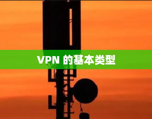 VPN 的基本类型 VPN 的基本类型