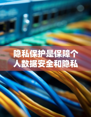 隐私保护是保障个人数据安全和隐私的重要环节，涉及数据收集、使用、存储和传播等多个方面。以下是隐私保护的详细内容