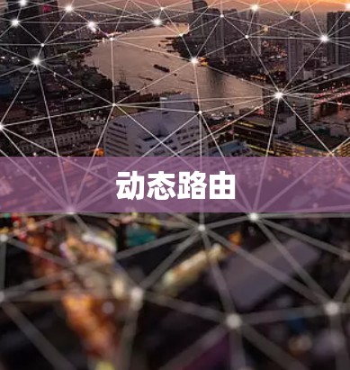 动态路由 动态路由
