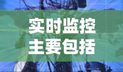 实时监控主要包括以下几个方面