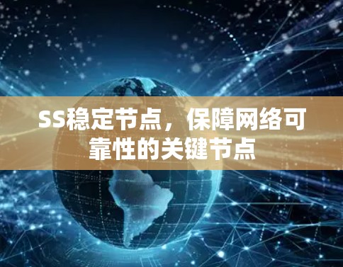 SS稳定节点，保障网络可靠性的关键节点