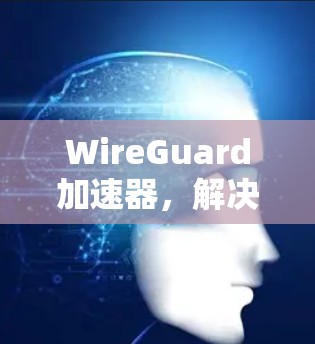 WireGuard加速器,解决Wi-Fi干扰的高效解决方案 WireGuard加速器,解决Wi-Fi干扰的高效解决方案