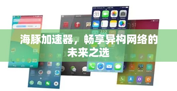 海豚加速器,畅享异构网络的未来之选 海豚加速器,畅享异构网络的未来之选