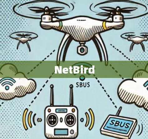 NetBird