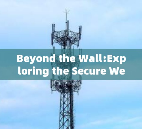 Beyond the Wall:Exploring the Secure Web of the 21st Century