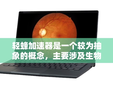 轻蜂加速器是一个较为抽象的概念，主要涉及生物技术或生物工程中的应用。以下是对这一概念的分步解释