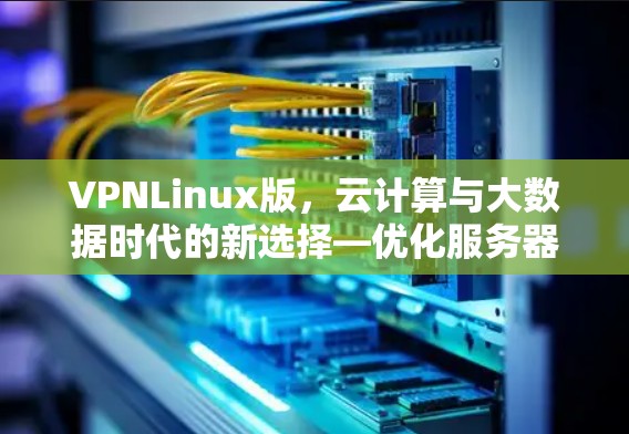 VPNLinux版，云计算与大数据时代的新选择—优化服务器性能与提升云效率的创新解决方案