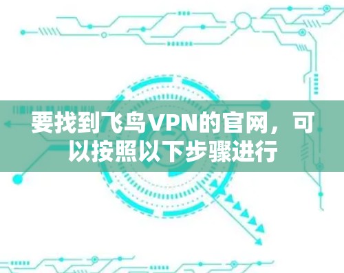 要找到飞鸟VPN的官网，可以按照以下步骤进行