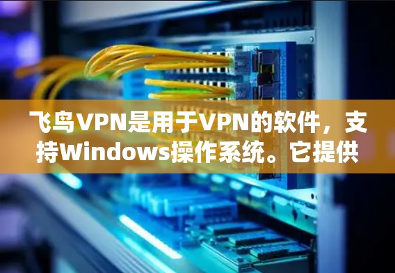 飞鸟VPN是用于VPN的软件，支持Windows操作系统。它提供了免费版和付费版两种版本，付费版通常功能更完善。以下是详细的步骤和详细信息