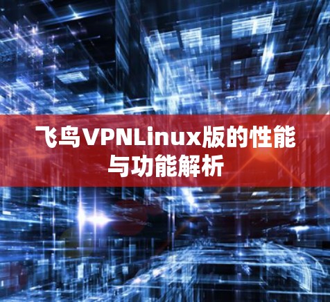 飞鸟VPNLinux版的性能与功能解析