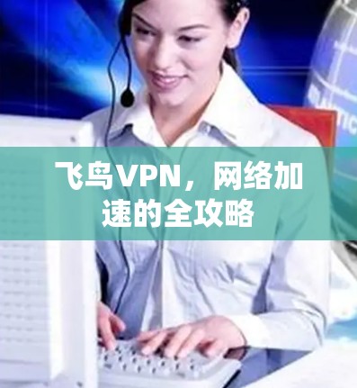 飞鸟VPN,网络加速的全攻略 飞鸟VPN,网络加速的全攻略