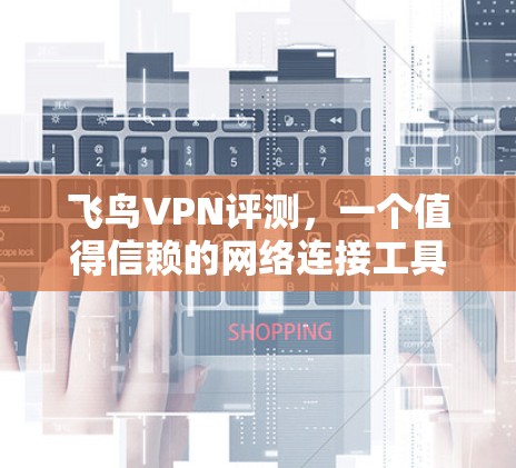 飞鸟VPN评测，一个值得信赖的网络连接工具