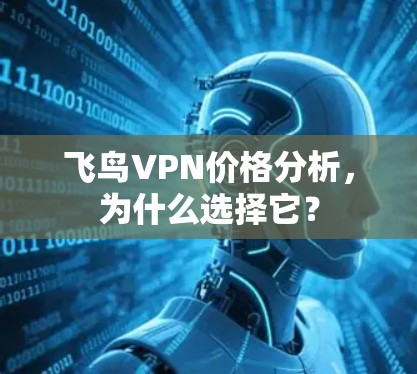 飞鸟VPN价格分析,为什么选择它? 飞鸟VPN价格分析,为什么选择它?