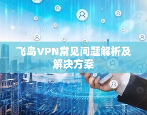 飞鸟VPN常见问题解析及解决方案