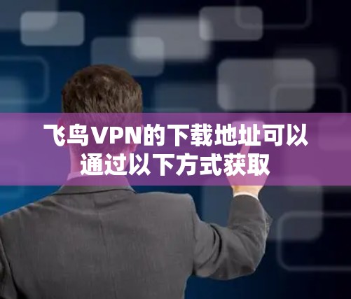 飞鸟VPN的下载地址可以通过以下方式获取