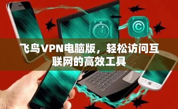飞鸟VPN电脑版，轻松访问互联网的高效工具