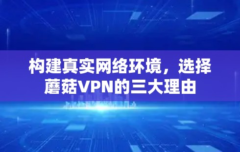 构建真实网络环境，选择蘑菇VPN的三大理由