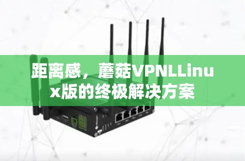 距离感，蘑菇VPNLLinux版的终极解决方案
