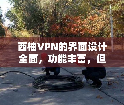 西柚VPN的界面设计全面,功能丰富,但需注意以下几点以避免常见问题 西柚VPN的界面设计全面,功能丰富,但需注意以下几点以避免常见问题
