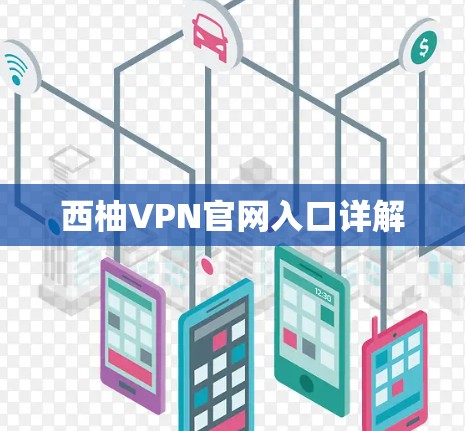 西柚VPN官网入口详解 西柚VPN官网入口详解