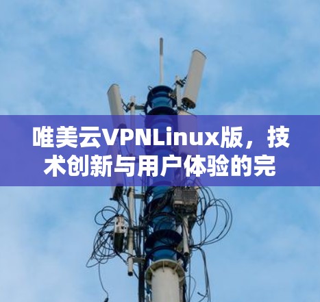 唯美云VPNLinux版,技术创新与用户体验的完美融合 唯美云VPNLinux版,技术创新与用户体验的完美融合