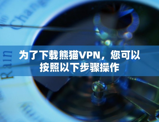 为了下载熊猫VPN，您可以按照以下步骤操作