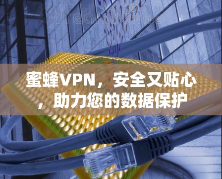 蜜蜂VPN，安全又贴心，助力您的数据保护
