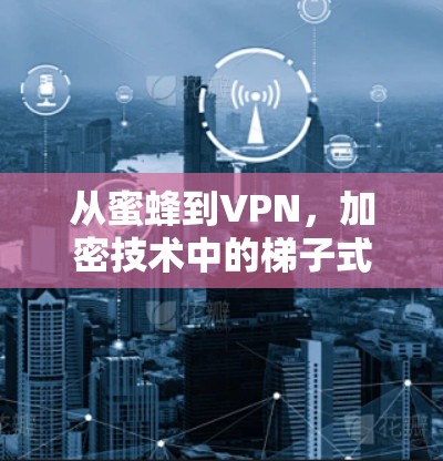 从蜜蜂到VPN，加密技术中的梯子式连接