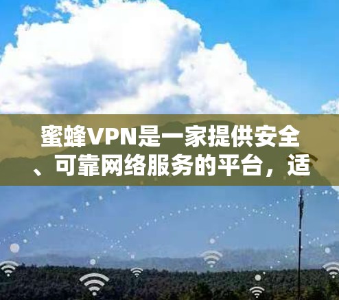 蜜蜂VPN是一家提供安全、可靠网络服务的平台，适合用户访问多个网站和下载资源。以下是一些推荐，帮助您找到最适合的解决方案