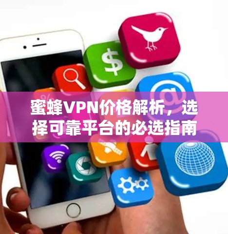 蜜蜂VPN价格解析，选择可靠平台的必选指南