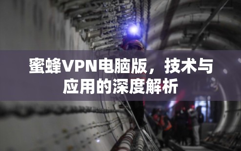 蜜蜂VPN电脑版，技术与应用的深度解析
