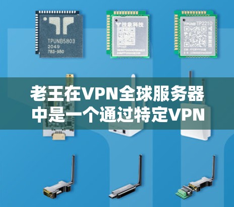 老王在VPN全球服务器中是一个通过特定VPN服务连接到国际服务器的用户，他需要了解如何使用VPN服务，如何选择合适的服务器和连接方式。以下是一些步骤和信息，帮助老王更好地使用VPN服务