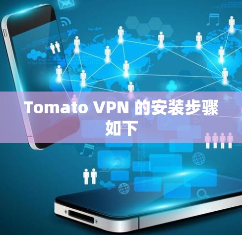Tomato VPN 的安装步骤如下