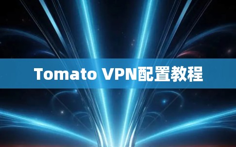 Tomato VPN配置教程