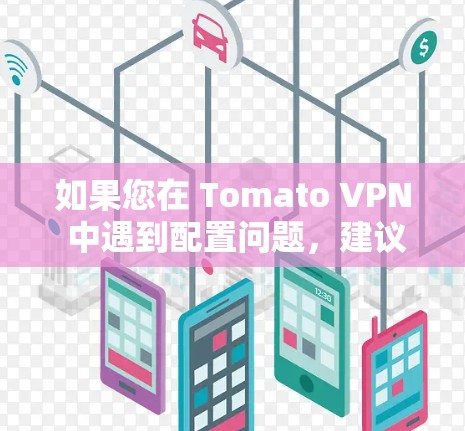 如果您在 Tomato VPN 中遇到配置问题，建议联系 Tomato VPN 的支持团队，以确认是否需要额外的机场节点配置。他们的团队可以为您提供详细的指导和解决方案