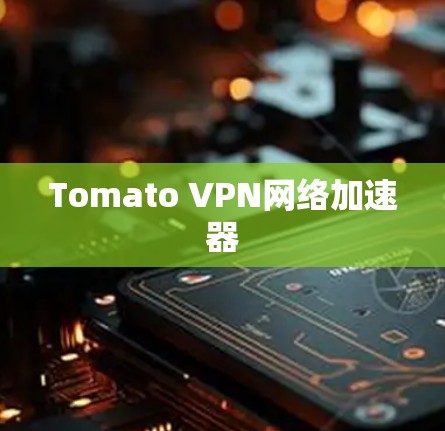 Tomato VPN网络加速器