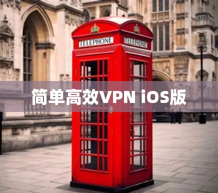 简单高效VPN iOS版