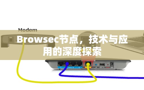 Browsec节点，技术与应用的深度探索