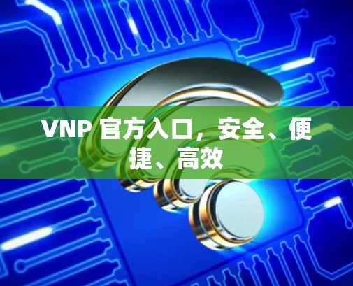 VNP 官方入口，安全、便捷、高效