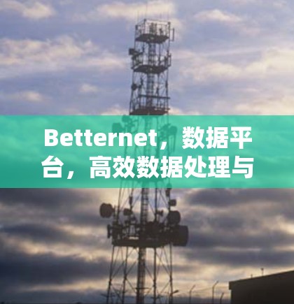 Betternet，数据平台，高效数据处理与自动化下载服务
