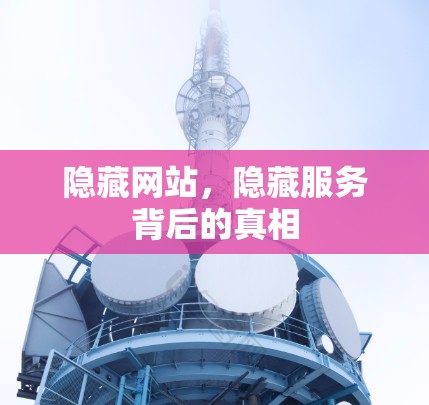 隐藏网站,隐藏服务背后的真相 隐藏网站,隐藏服务背后的真相