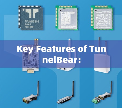 Key Features of TunnelBear: