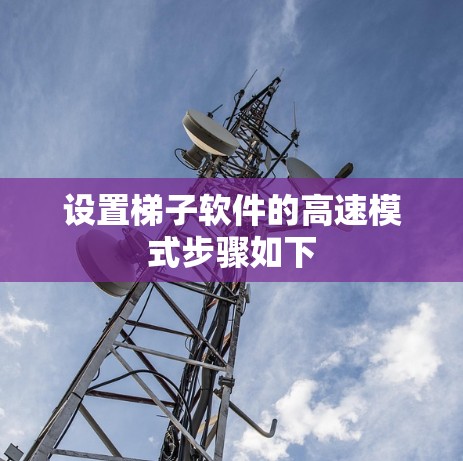设置梯子软件的高速模式步骤如下