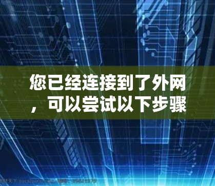 您已经连接到了外网，可以尝试以下步骤访问神鹰加速器