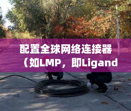 配置全球网络连接器（如LMP，即Ligand Matrix）属于网络设备的配置操作，具体方法取决于你使用的云服务或基础设施。以下是一些通用的配置步骤，适用于大多数云服务系统