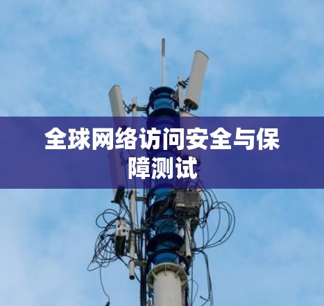 全球网络访问安全与保障测试