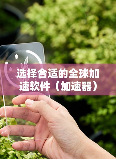 选择合适的全球加速软件（加速器）取决于用户的具体需求和技术环境。以下是对选择加速器的详细建议
